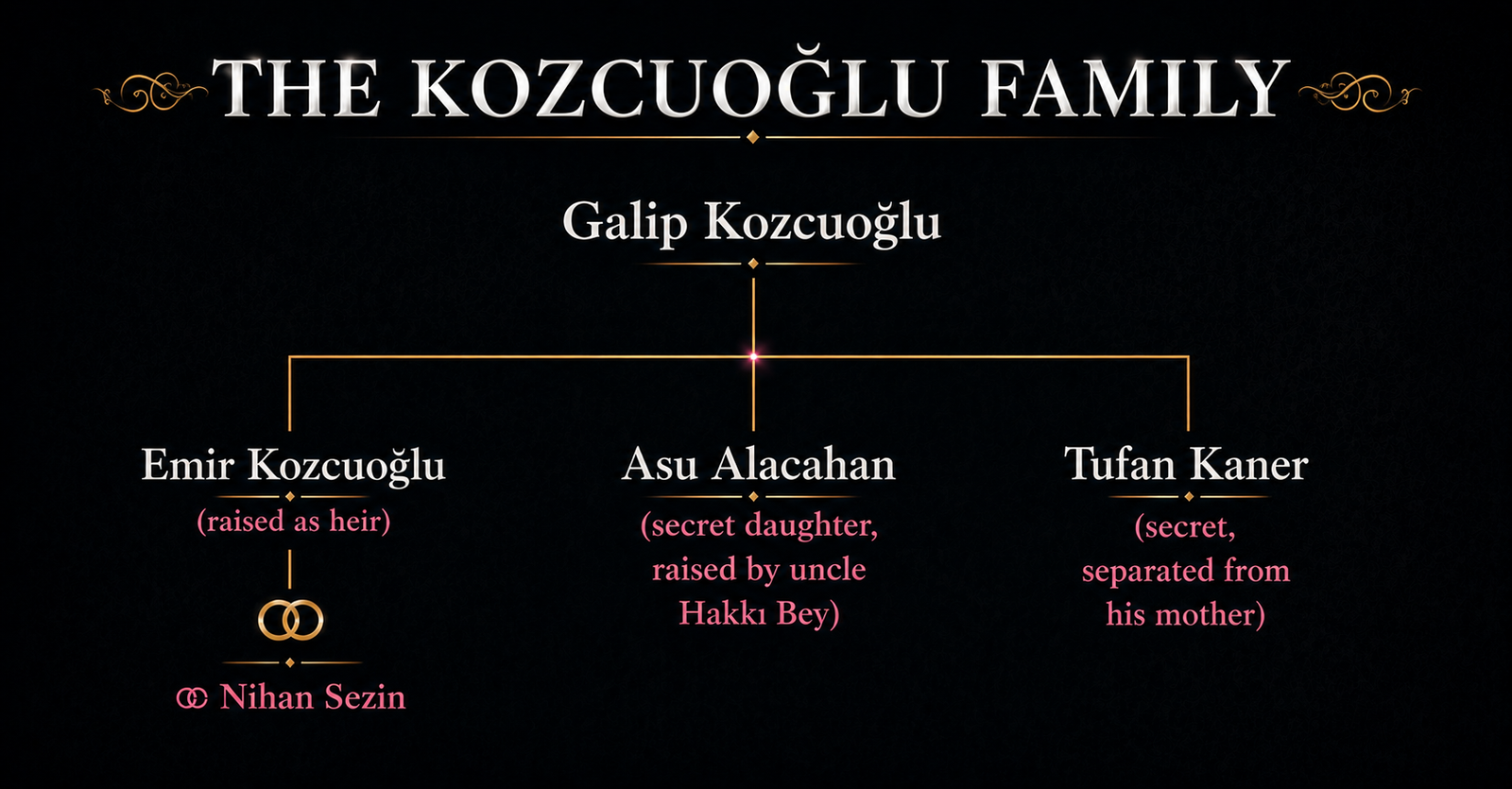 Kozcuoğlu family tree in Kara Sevda showing Galip Kozcuoğlu, Emir Kozcuoğlu, Asu Alacahan, Tufan Kaner, and Nihan Sezin relationships.
